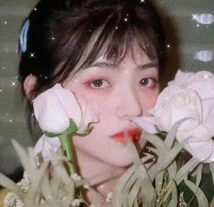 圆盘皇女 星灵节的新娘